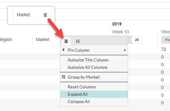 Expand all in the table head menu